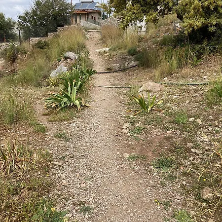 Limon * بوزبورون