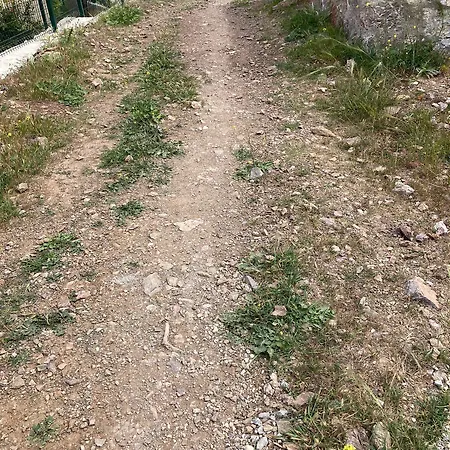 شقة Limon