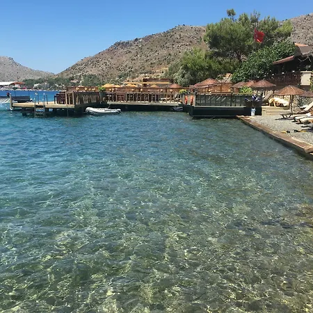 Limon * بوزبورون